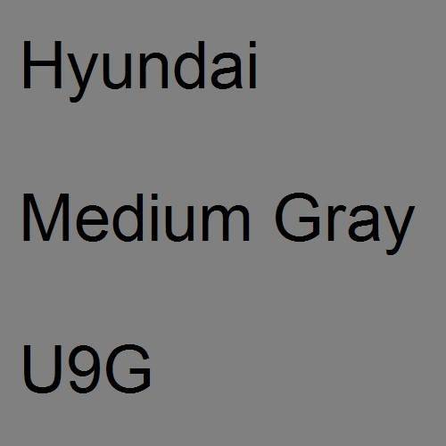 Hyundai, Medium Gray, U9G.